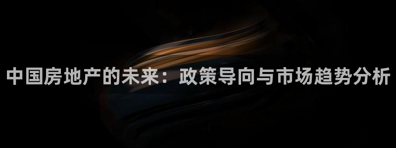 新宝股东王听2 5 5：中国房地产的未来：政策导向与市场趋势