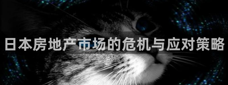 新宝5周74OOO5：日本房地产市场的危机与应对策略