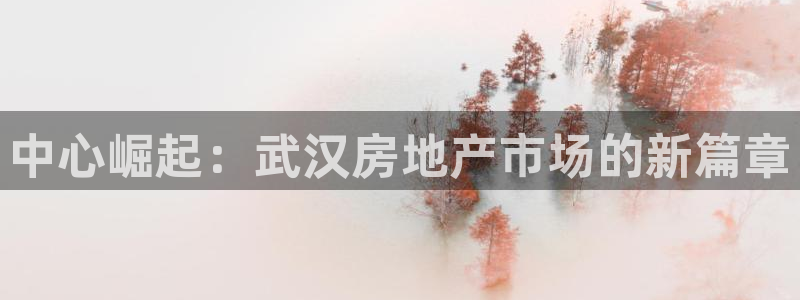 新宝5测速登录：中心崛起：武汉房地产市场的新篇章