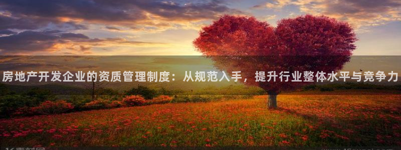 新宝5娱乐招商：房地产开发企业的资质管理制度：从规范入手，提