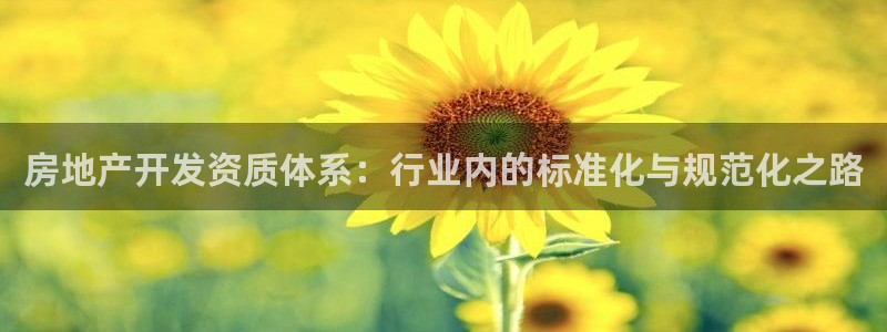 新宝5下载官方：房地产开发资质体系：行业内的标准化与规范化之