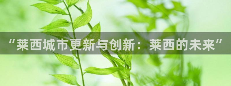 新宝5球维33 300：“莱西城市更新与创新：莱西的未来”