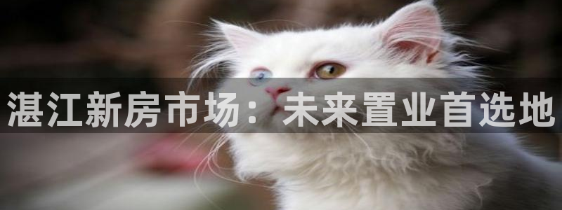 新宝5如何注册：湛江新房市场：未来置业首选地
