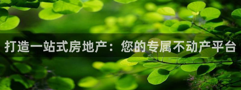 新宝5客户端登录：打造一站式房地产：您的专属不动产平台