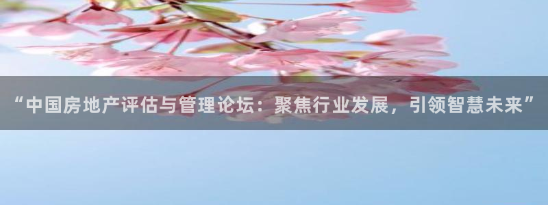 新宝5登录入口网址：“中国房地产评估与管理论坛：聚焦行业发展