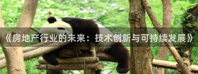 新宝cR一5：《房地产行业的未来：技术创新与可持续发展》