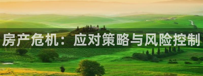 新宝5骗术：房产危机：应对策略与风险控制