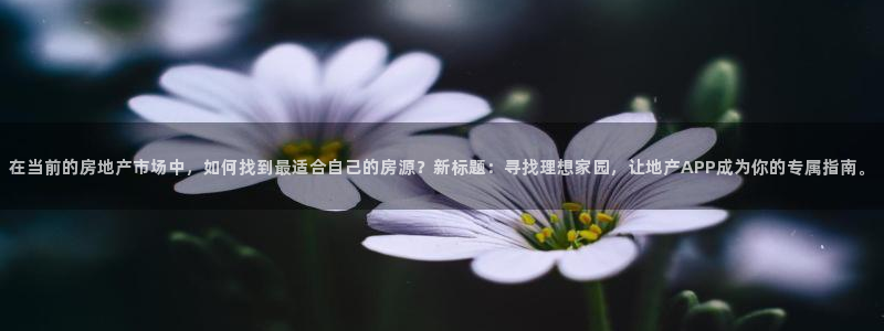 新宝5蒋74OOO5：在当前的房地产市场中，如何找到最适合自