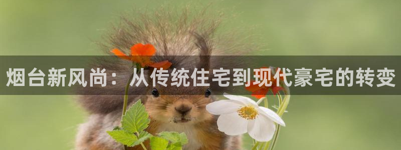 新宝5链接：烟台新风尚：从传统住宅到现代豪宅的转变