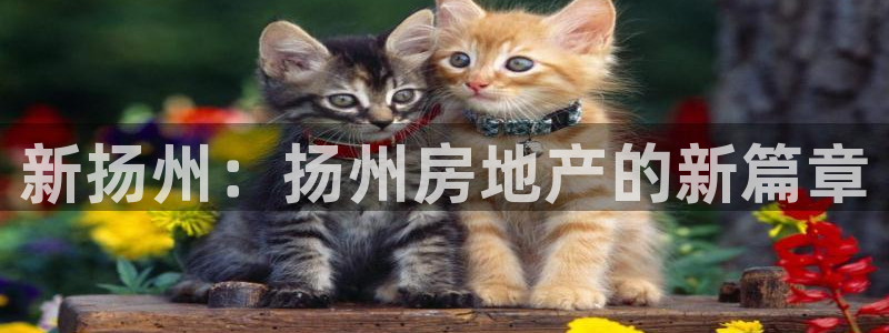 新宝5登录：新扬州：扬州房地产的新篇章