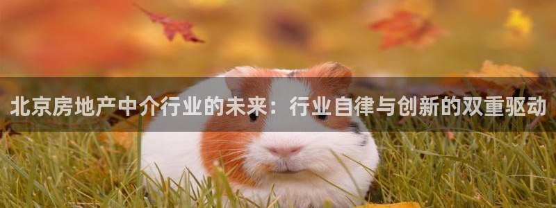 新宝集团新宝5：北京房地产中介行业的未来：行业自律与创新的双
