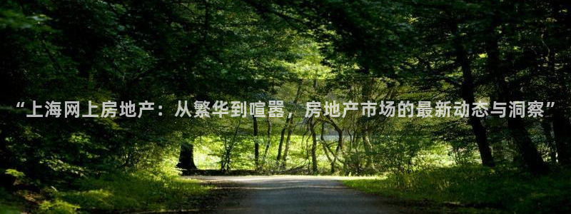 新宝5平棋牌：“上海网上房地产：从繁华到喧嚣，房地产市场的最