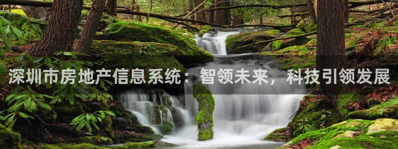 新宝5X：深圳市房地产信息系统：智领未来，科技引领发展