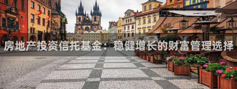 新宝5直属：房地产投资信托基金：稳健增长的财富管理选择