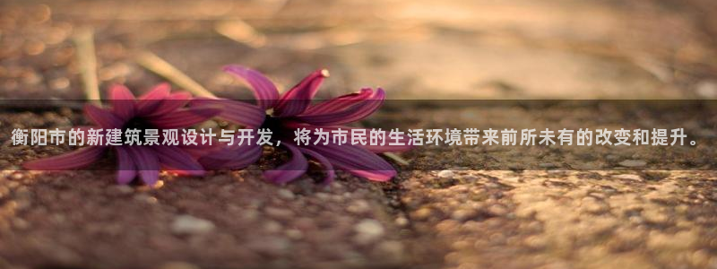 新宝5尤74OOO5：衡阳市的新建筑景观设计与开发，将为市民