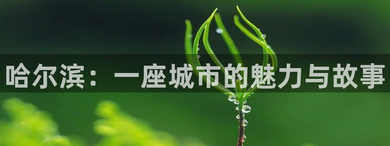 新宝骏rc5W：哈尔滨：一座城市的魅力与故事