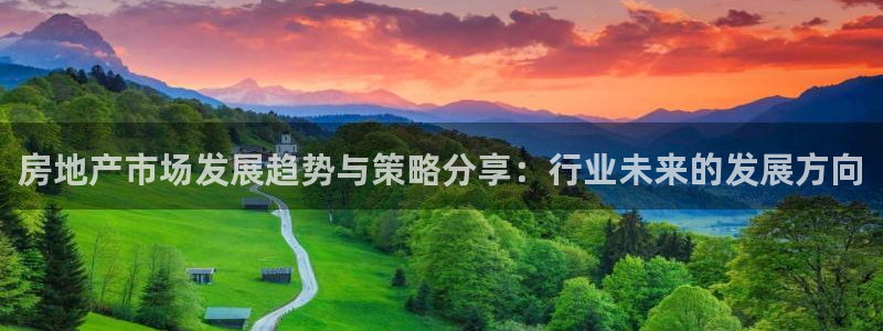 新宝rc_5w：房地产市场发展趋势与策略分享：行业未来的发展