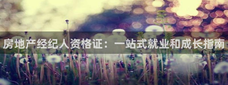 新宝5客户端登录：房地产经纪人资格证：一站式就业和成长指南