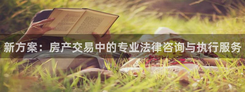 新宝5测试：新方案：房产交易中的专业法律咨询与执行服务