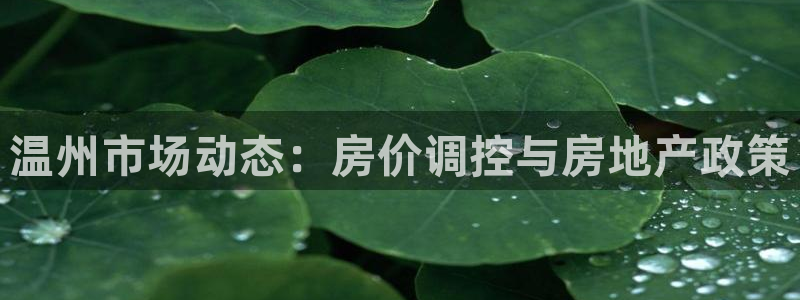 新5宝：温州市场动态：房价调控与房地产政策