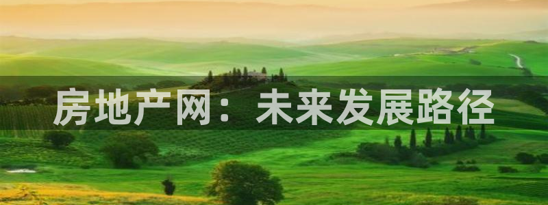 新宝5卫74OOO5：房地产网：未来发展路径