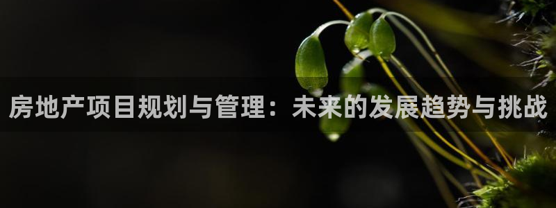 新宝5湫333 00：房地产项目规划与管理：未来的发展趋势与