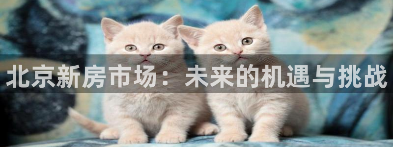 新宝5直属：北京新房市场：未来的机遇与挑战