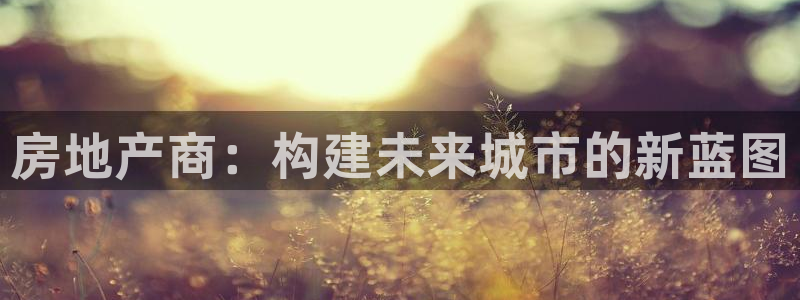 新宝5官网67五壹叁八：房地产商：构建未来城市的新蓝图