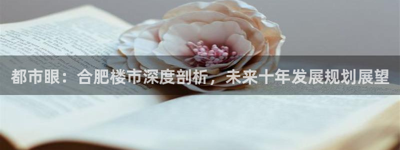 新宝5手机app：都市眼：合肥楼市深度剖析，未来十年发展规划