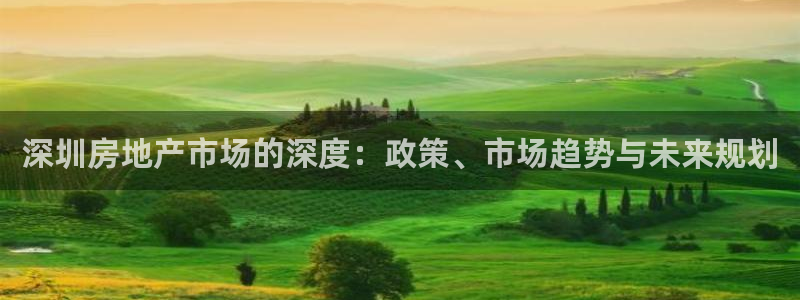 新宝5娱乐经：深圳房地产市场的深度：政策、市场趋势与未来规划