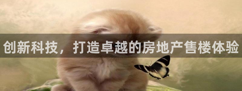 新宝5娱乐然：创新科技，打造卓越的房地产售楼体验