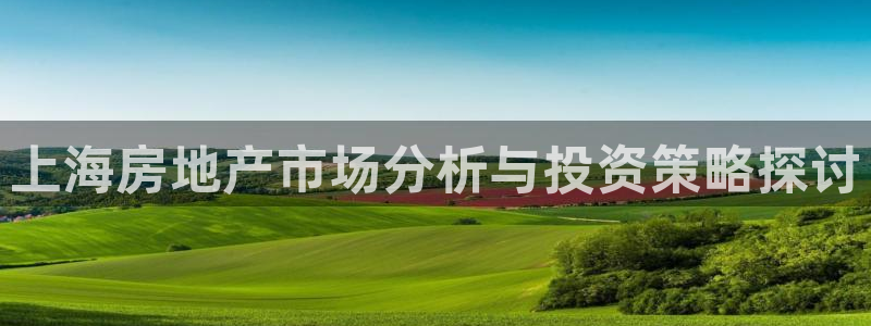 新宝5测登录：上海房地产市场分析与投资策略探讨