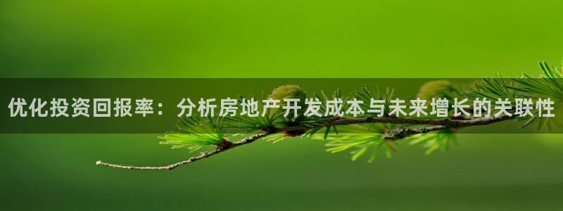 新宝5手机平台登陆：优化投资回报率：分析房地产开发成本与未来