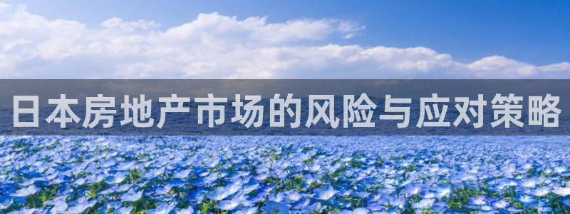 新宝5注册登录：日本房地产市场的风险与应对策略