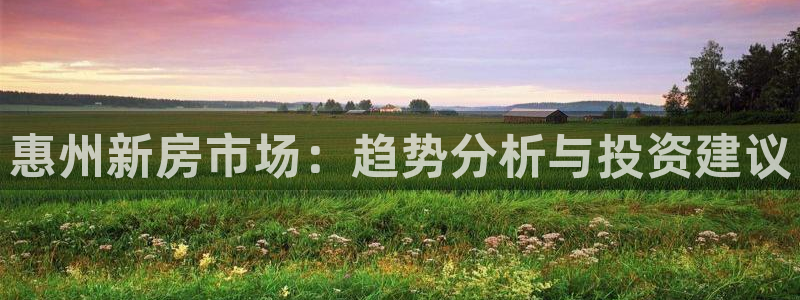 新宝5平台登录下载软件：惠州新房市场：趋势分析与投资建议