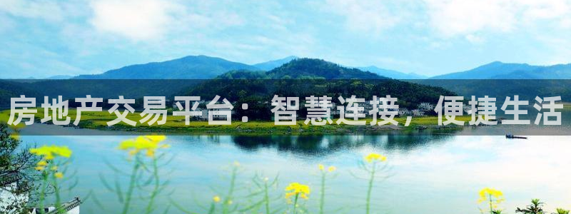 新宝集团新宝5：房地产交易平台：智慧连接，便捷生活