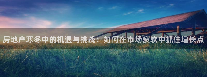 新宝5注册账号：房地产寒冬中的机遇与挑战：如何在市场疲软中抓