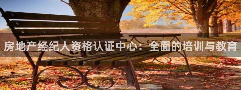 新宝5平台登录下载软件：房地产经纪人资格认证中心：全面的培训