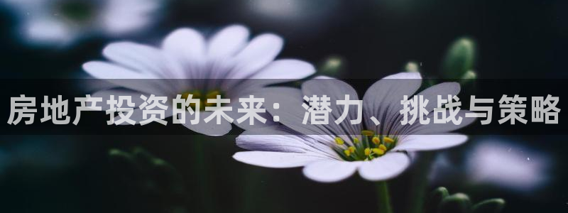 新宝5湫333 00：房地产投资的未来：潜力、挑战与策略
