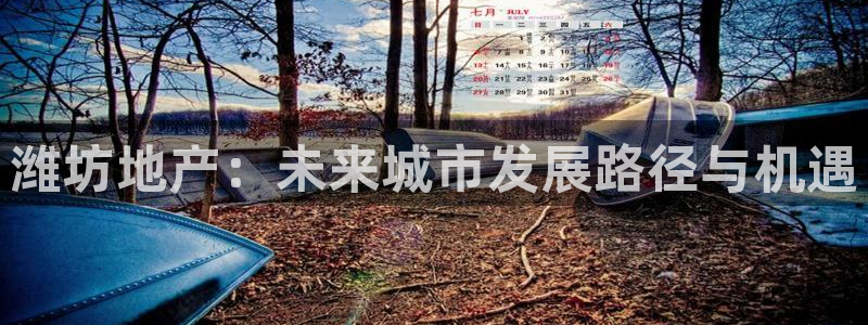 新宝5如何下载：潍坊地产：未来城市发展路径与机遇