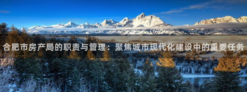 新宝5手机登录：合肥市房产局的职责与管理：聚焦城市现代化建设