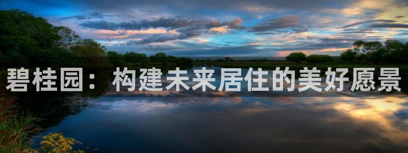 新宝5平棋牌：碧桂园：构建未来居住的美好愿景