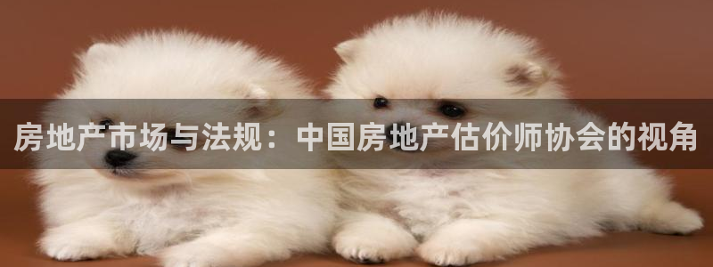 新宝5注册平台：房地产市场与法规：中国房地产估价师协会的视角