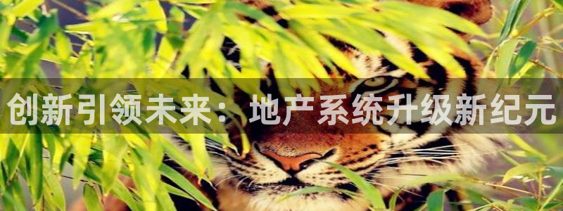 新宝5登录测速中心：创新引领未来：地产系统升级新纪元