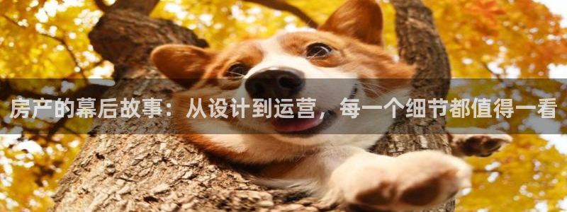 新宝5测速登录：房产的幕后故事：从设计到运营，每一个细节都值