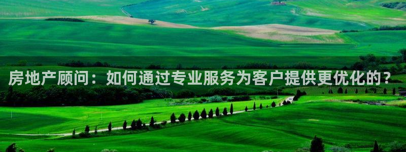 新宝5下载官方：房地产顾问：如何通过专业服务为客户提供更优化
