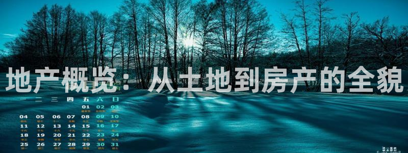 新宝5下载 迅雷下载：地产概览：从土地到房产的全貌