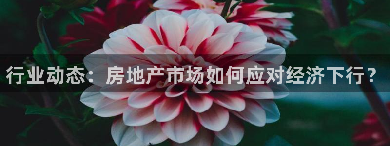 新宝5黑彩：行业动态：房地产市场如何应对经济下行？