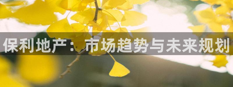 新宝5是谁：保利地产：市场趋势与未来规划
