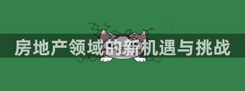 新宝5官网app：房地产领域的新机遇与挑战
